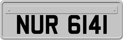 NUR6141