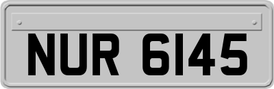 NUR6145