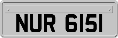 NUR6151