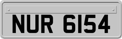NUR6154