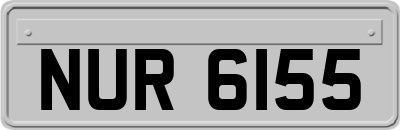 NUR6155