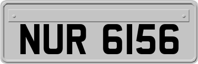 NUR6156