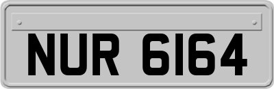 NUR6164