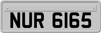 NUR6165