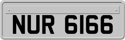 NUR6166
