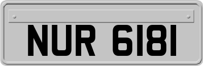 NUR6181