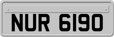 NUR6190