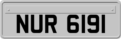 NUR6191