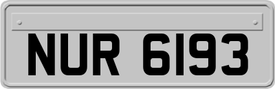 NUR6193