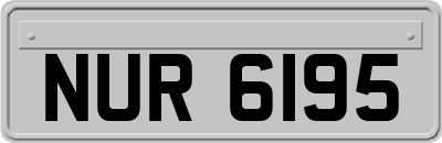 NUR6195