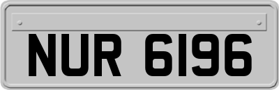NUR6196