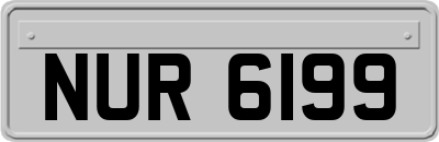 NUR6199