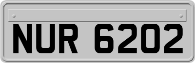 NUR6202
