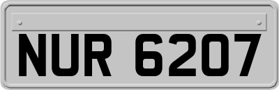 NUR6207