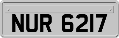NUR6217