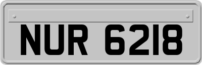 NUR6218
