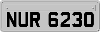 NUR6230