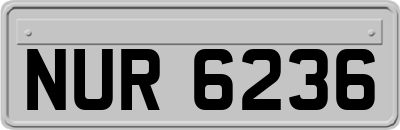 NUR6236