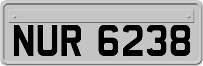 NUR6238