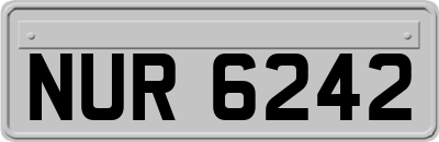 NUR6242
