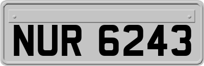 NUR6243