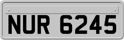 NUR6245
