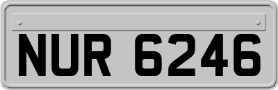 NUR6246