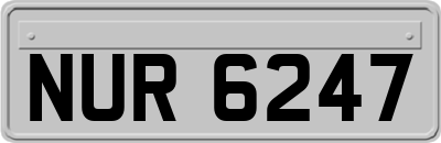 NUR6247