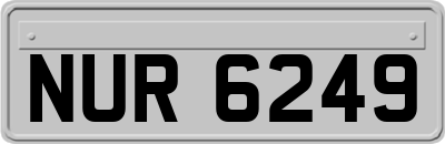NUR6249