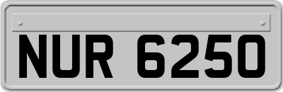NUR6250