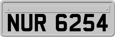 NUR6254