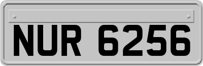 NUR6256
