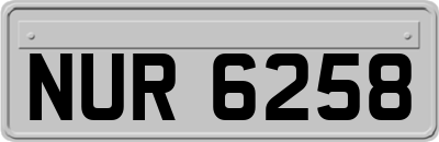 NUR6258
