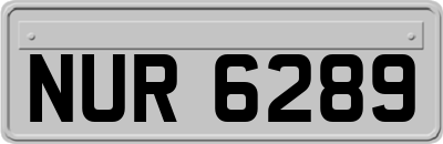 NUR6289