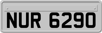 NUR6290