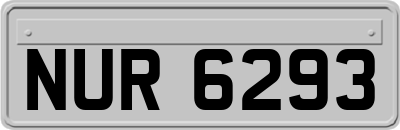 NUR6293