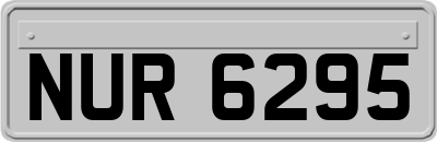 NUR6295