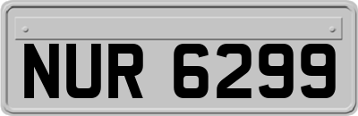 NUR6299