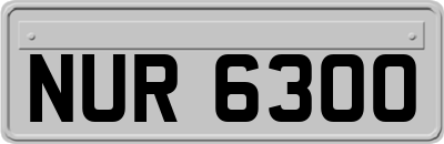 NUR6300