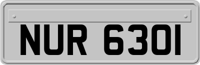 NUR6301