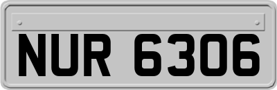 NUR6306