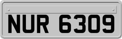 NUR6309
