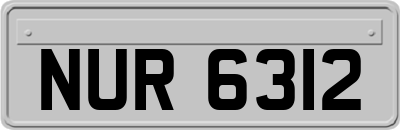 NUR6312