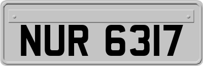 NUR6317