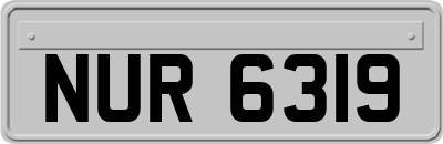 NUR6319