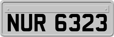 NUR6323