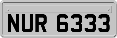 NUR6333