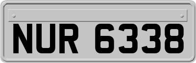 NUR6338