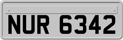 NUR6342