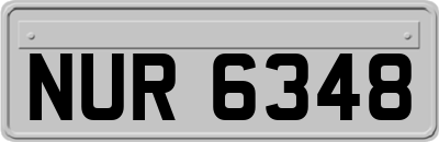 NUR6348